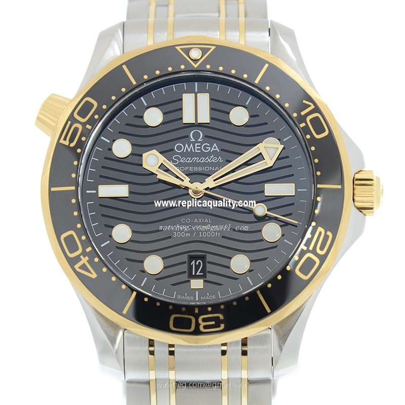 Omega SEAMASTER 210.20.42.20.01.002 Automatic 18kt Gold & Steel Black