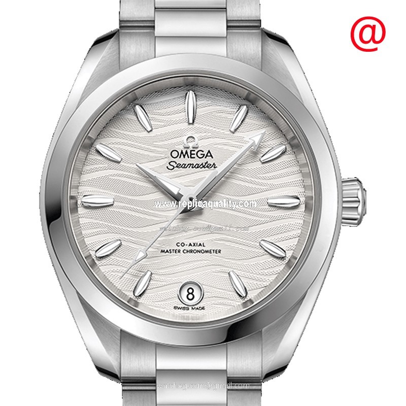 Omega SEAMASTER 220.10.34.20.02.002 Automatic Stainless Steel Silver