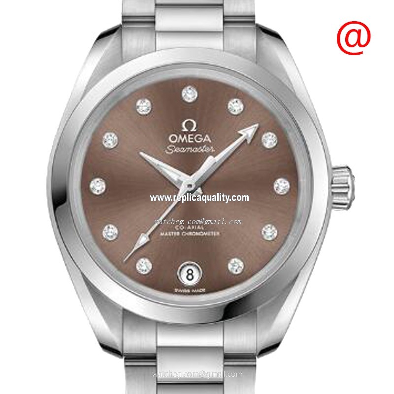 Omega SEAMASTER 220.10.34.20.63.001 Automatic Stainless Steel Brown
