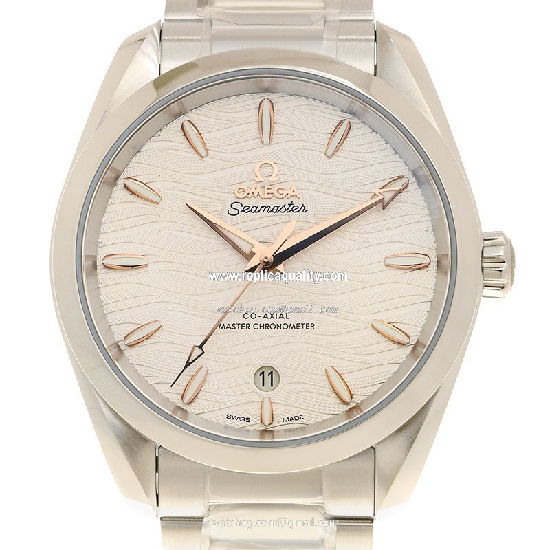 Omega SEAMASTER 220.10.38.20.02.002 Automatic Stainless Steel Silver