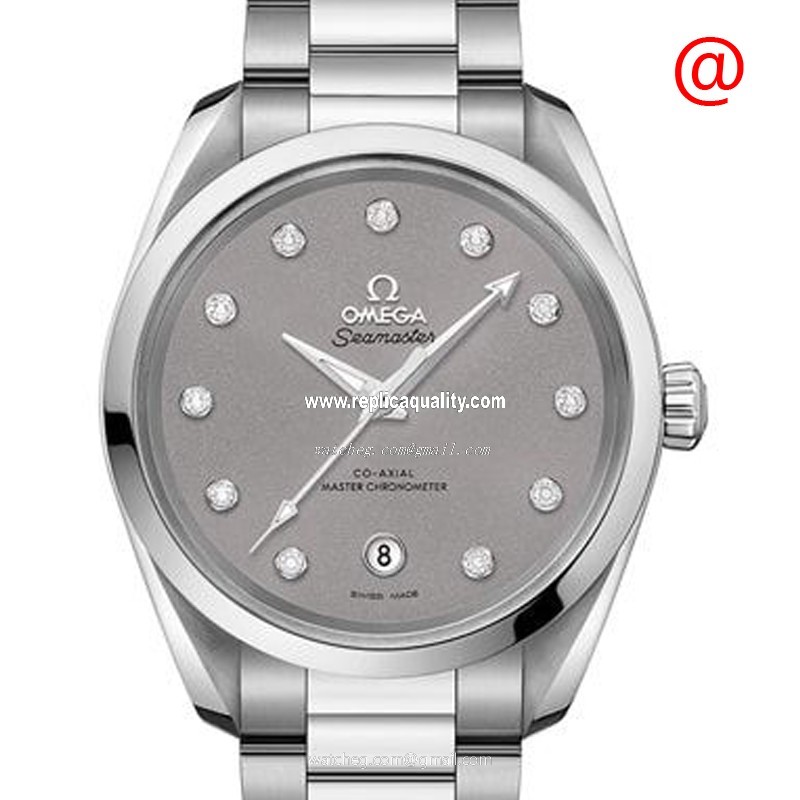 Omega SEAMASTER 220.10.38.20.56.001 Automatic Stainless Steel Gray