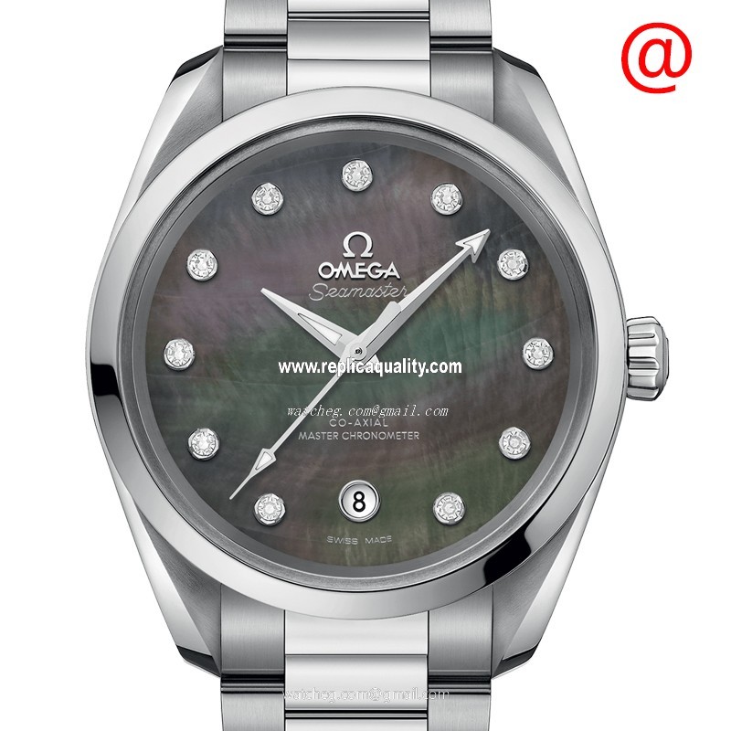 Omega SEAMASTER 220.10.38.20.57.001 Automatic Stainless Steel Gray