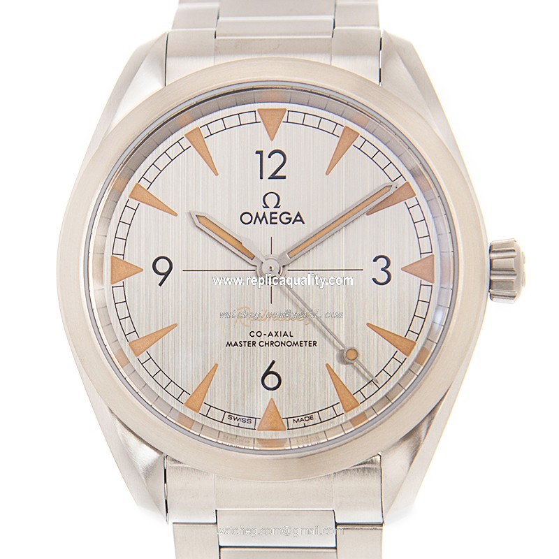 Omega RAILMASTER 220.10.40.20.06.001 Automatic Stainless Steel Gray