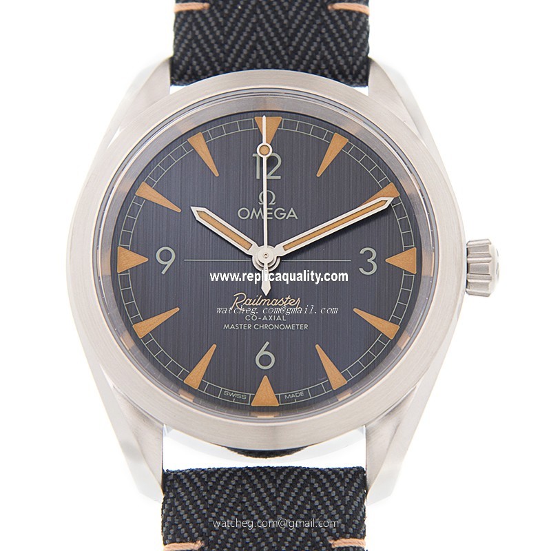 Omega SEAMASTER 220.12.40.20.01.001 Automatic Stainless Steel Gray