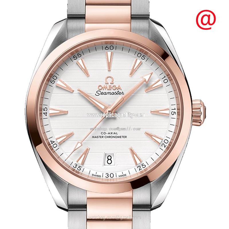 Omega SEAMASTER 220.20.41.21.02.001 Automatic 18kt Rose Gold & Steel Silver