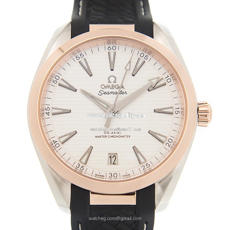 Omega SEAMASTER 220.22.41.21.02.001 Automatic Stainless Steel Silvery & White