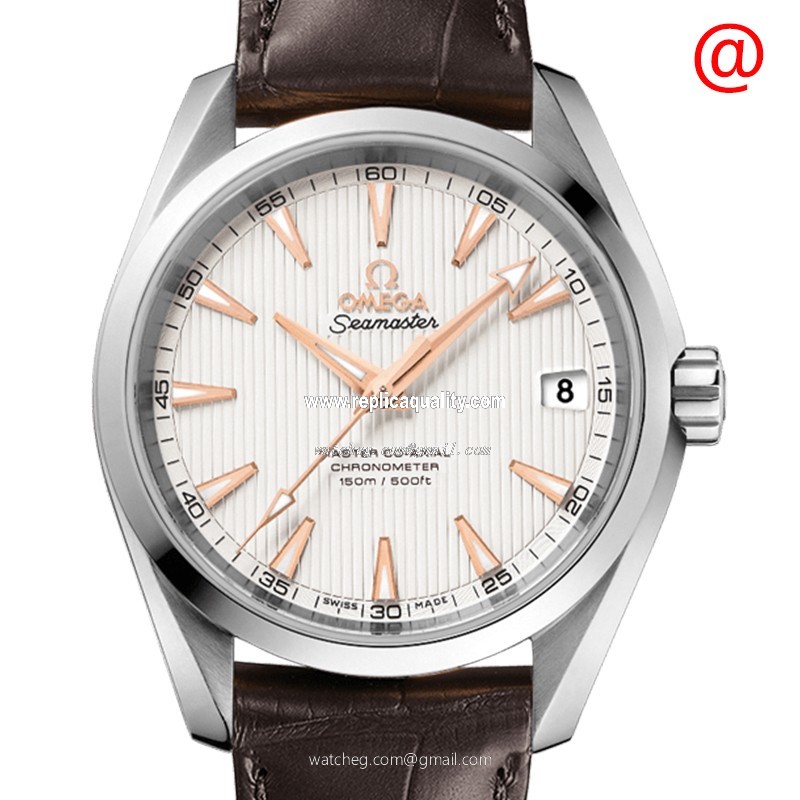 Omega SEAMASTER 231.13.39.21.02.003 Automatic Stainless Steel Silver