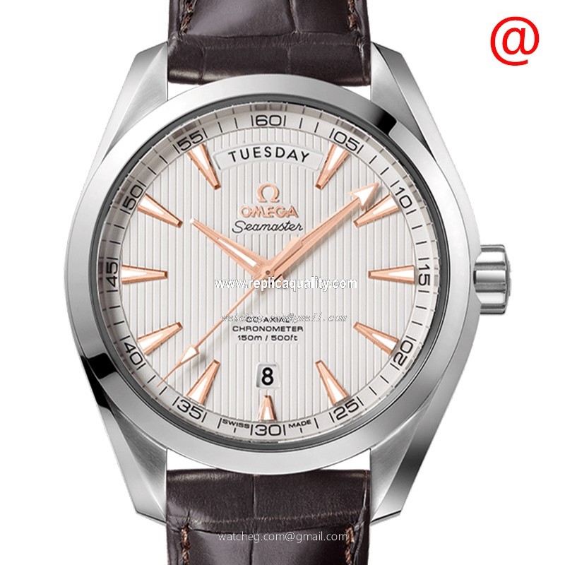 Omega SEAMASTER 231.13.42.22.02.001 Automatic Stainless Steel Silver