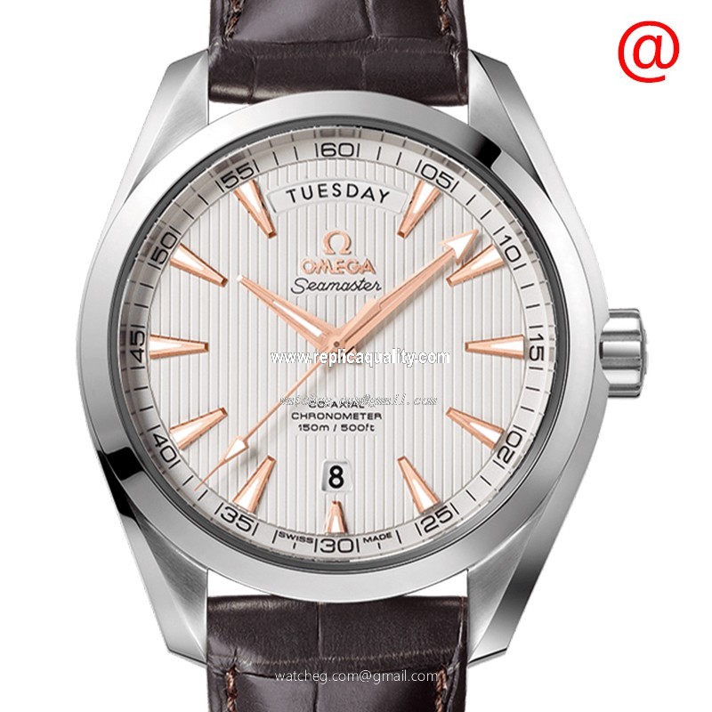 Omega SEAMASTER 231.13.43.22.02.002 Automatic Stainless Steel Silver