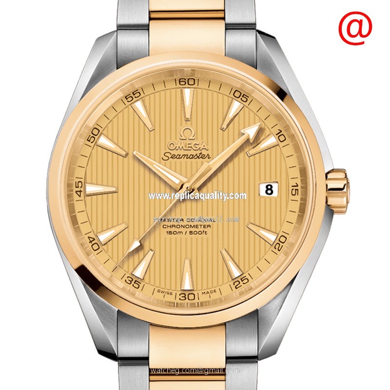 Omega SEAMASTER 231.20.42.21.08.001 Automatic 18kt Gold & Steel Gold