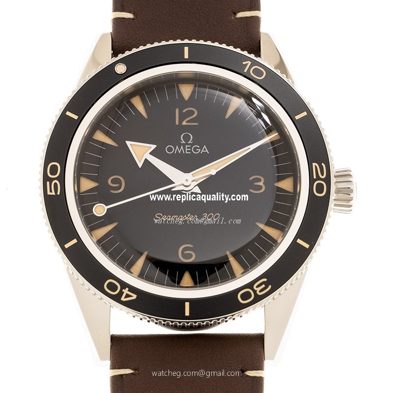 Omega SEAMASTER 234.32.41.21.01.001 Automatic Stainless Steel Black