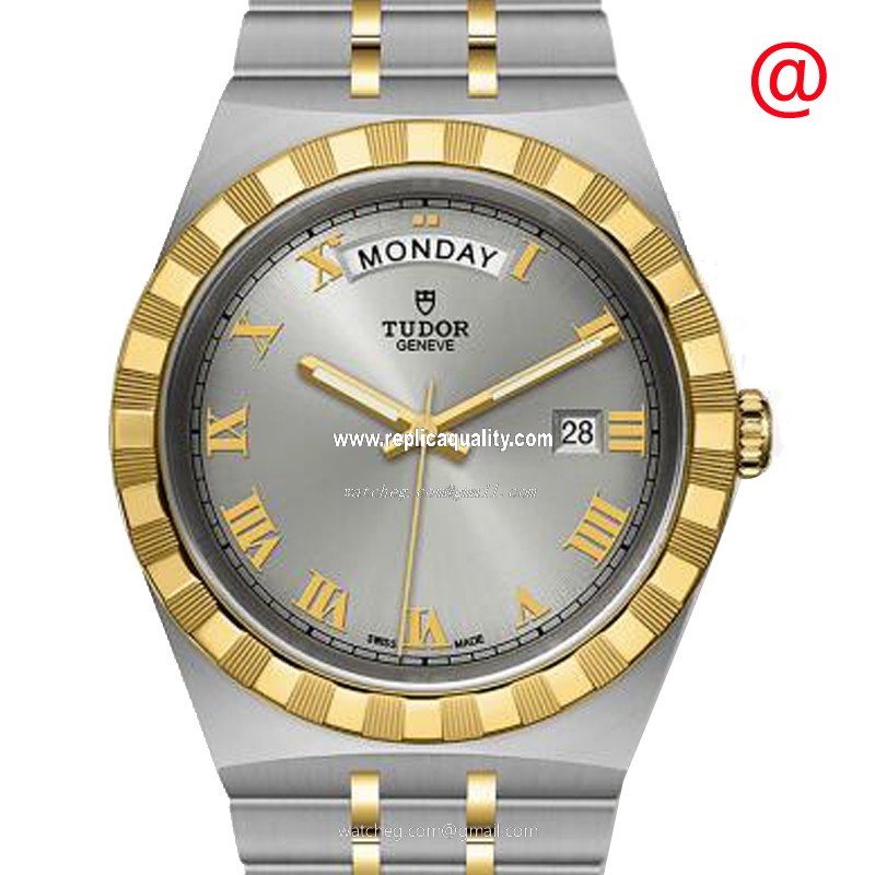 Tudor TUDOR ROYAL 28603-91033-SILVER Automatic 18kt Gold & Steel Silver