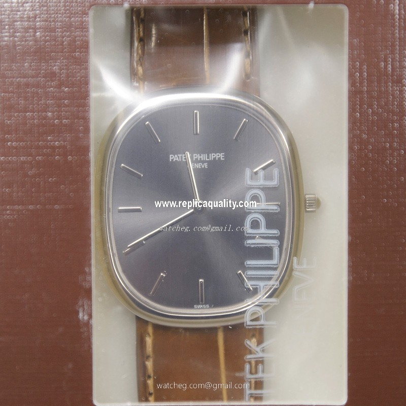 Patek Philippe ELLIPSE 3738/100G-012 Automatic 18kt White Gold Gray
