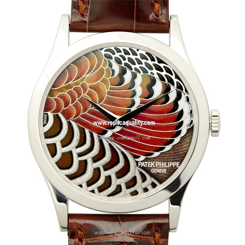 Patek Philippe CALATRAVA 5077P-BUTTERFLY Automatic Platinum Brown