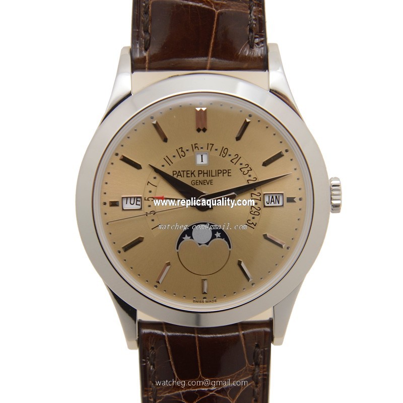 Patek Philippe GRAND COMPLICATIONS 5496P-014 Automatic Platinum Gold