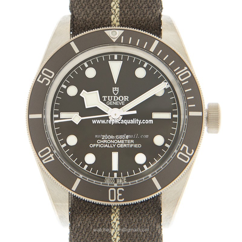 Tudor BLACK BAY 1958 79010SG CANVAS STRAP Automatic 925 Silver Gray