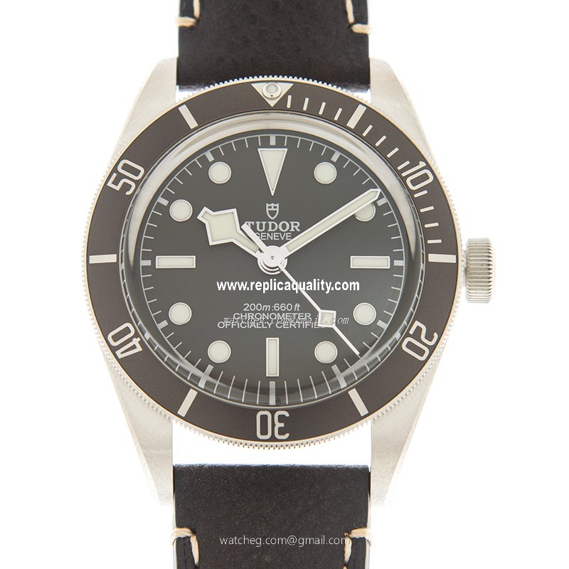 Tudor BLACK BAY 1958 79010SG LEATHER STRAP Automatic 925 Silver Gray