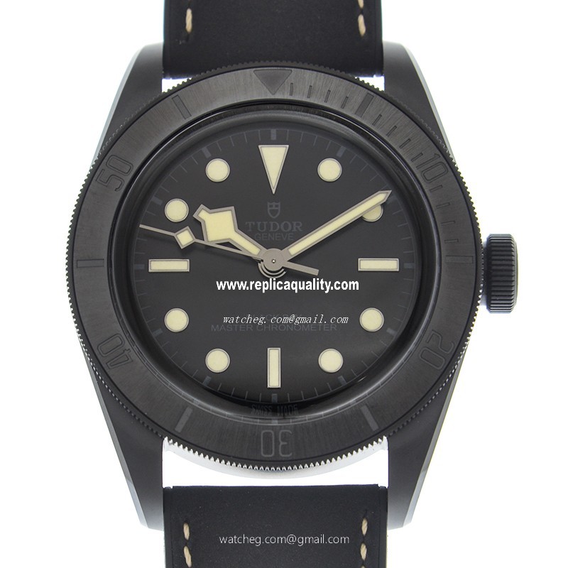 Tudor BLACK BAY CERAMIC 79210CNU Automatic Ceramic Black
