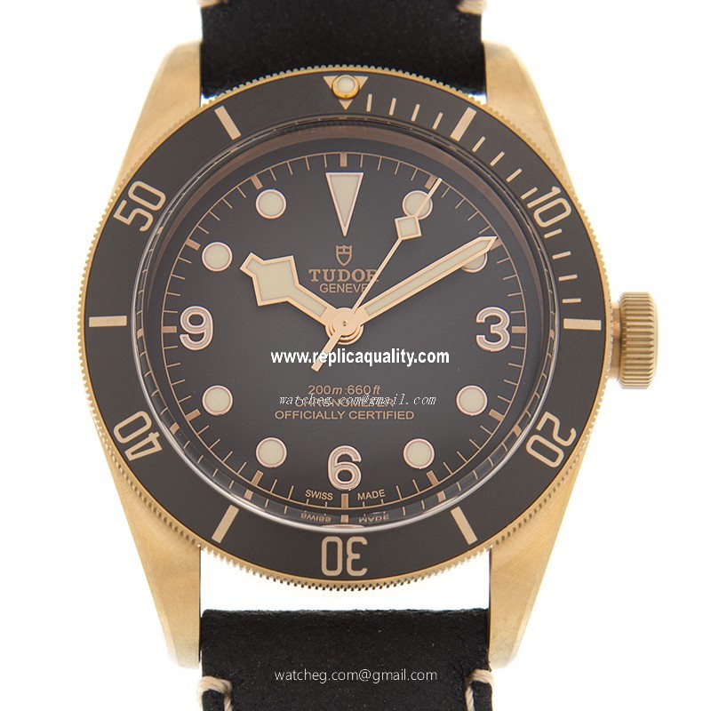 Tudor BLACK BAY BRONZE 79250BA-LS Automatic Bronze Black