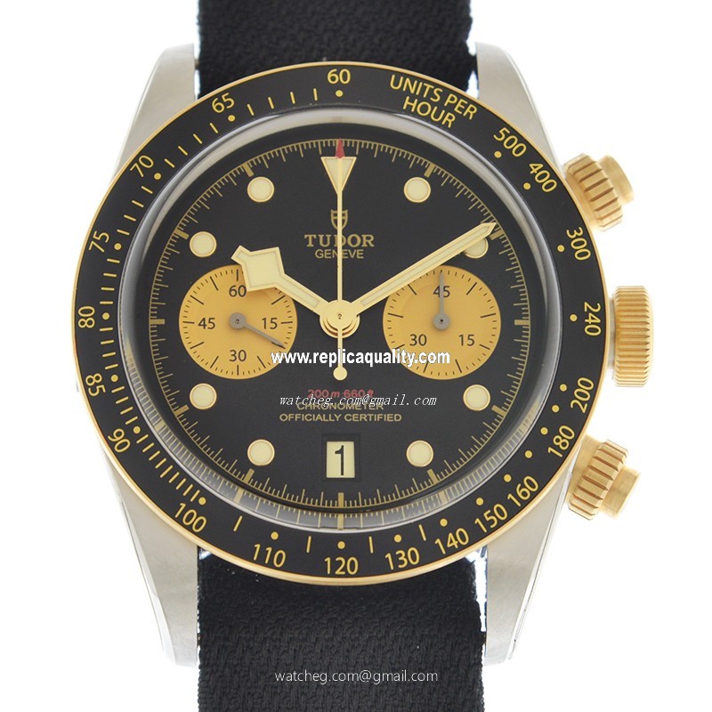 Tudor BLACK BAY 79363N-CS Automatic 18kt Gold & Steel Black