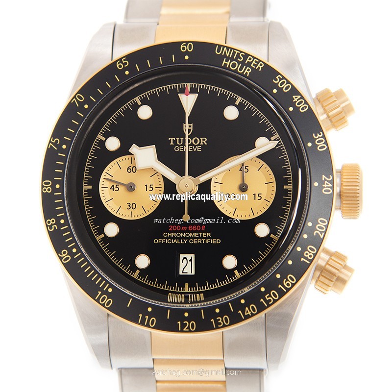 Tudor BLACK BAY 79363N Automatic 18kt Gold & Steel Black