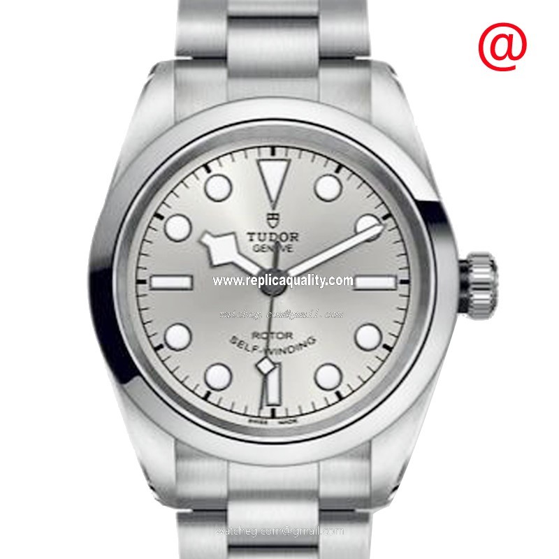 Tudor BLACK BAY 32 79580SV Automatic Stainless Steel Silver