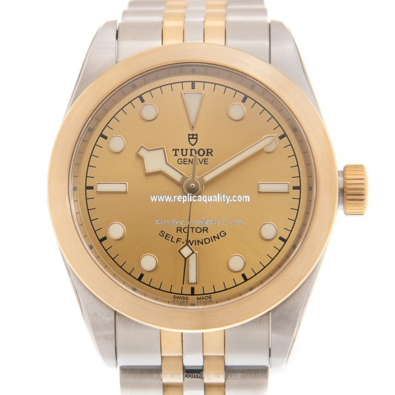 Tudor BLACK BAY 32 79583CH Automatic 18kt Gold & Steel Gold