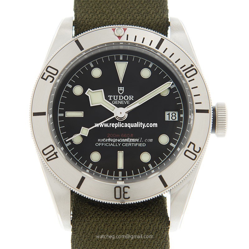 Tudor BLACK BAY STEEL 79730 CANVAS STRAP Automatic Stainless Steel Black