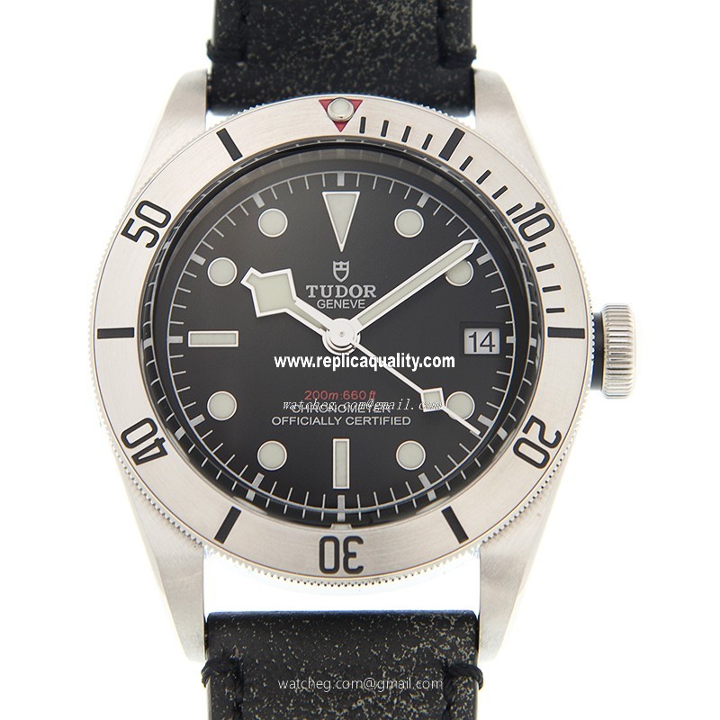 Tudor BLACK BAY 79730-LS Automatic Stainless Steel Black
