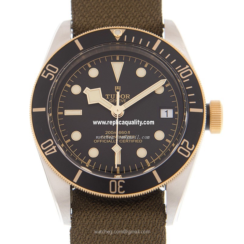 Tudor BLACK BAY 79733N-CANVAS STRAP Automatic 18kt Gold & Steel Black