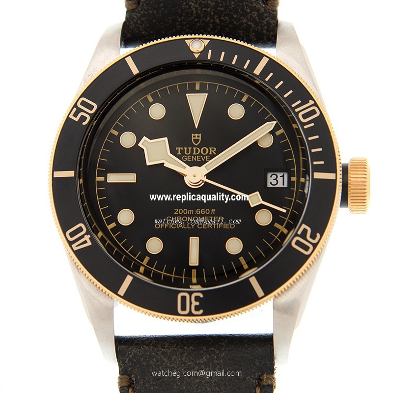Tudor BLACK BAY 79733N-LS Automatic 18kt Gold & Steel Black