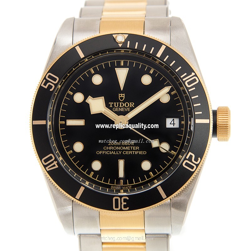 Tudor BLACK BAY 79733N Automatic 18kt Gold & Steel Black