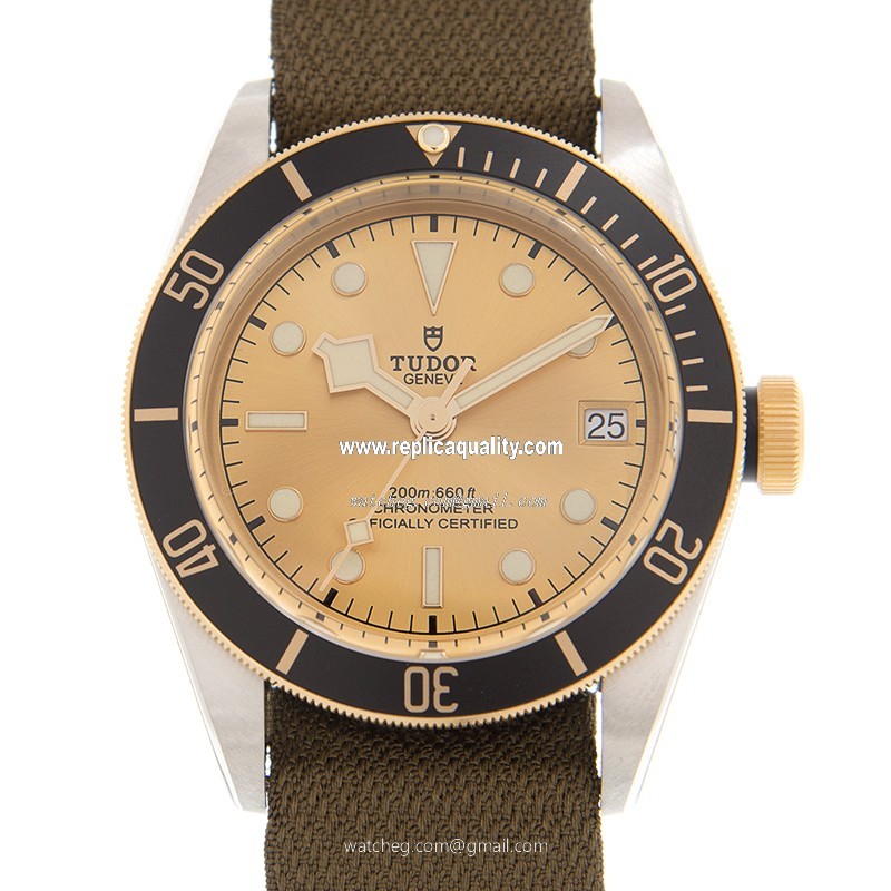 Tudor BLACK BAY 79733NCH-CS Automatic 18kt Gold & Steel Gold