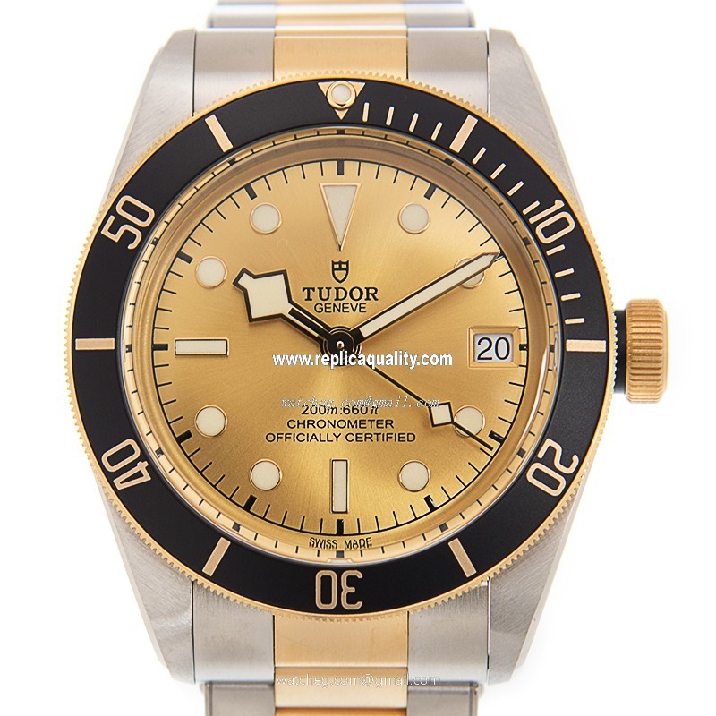 Tudor BLACK BAY 79733N CHAMPANGE Automatic 18kt Gold & Steel Gold
