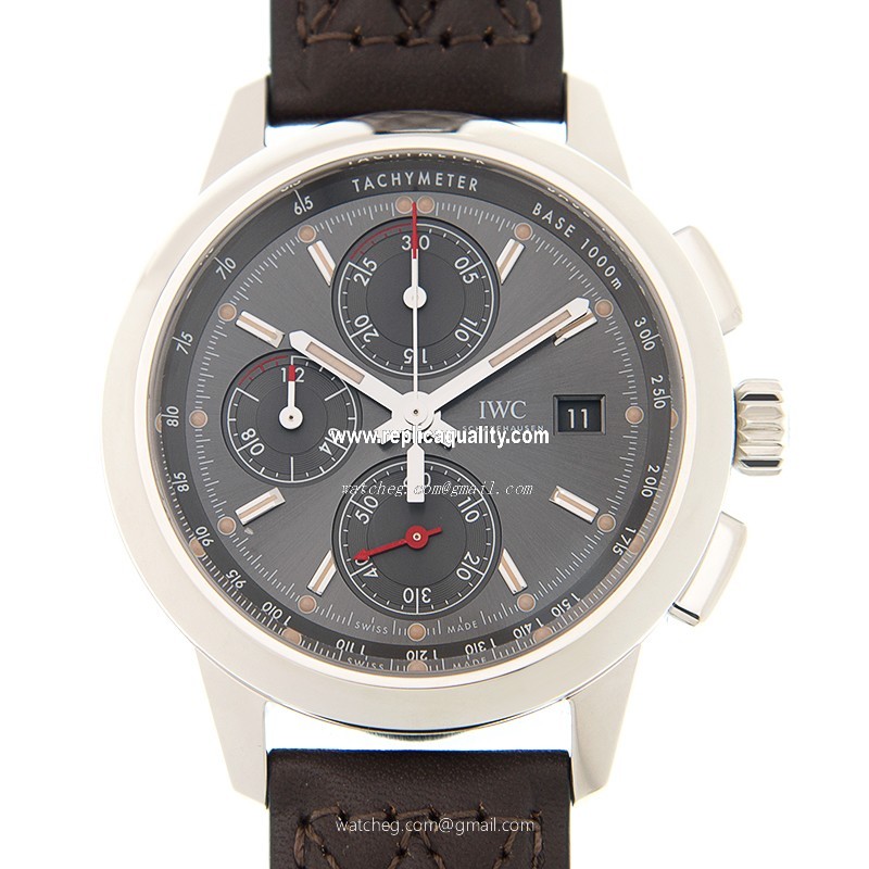 IWC INGENIEUR IW380702 Automatic Stainless Steel Gray