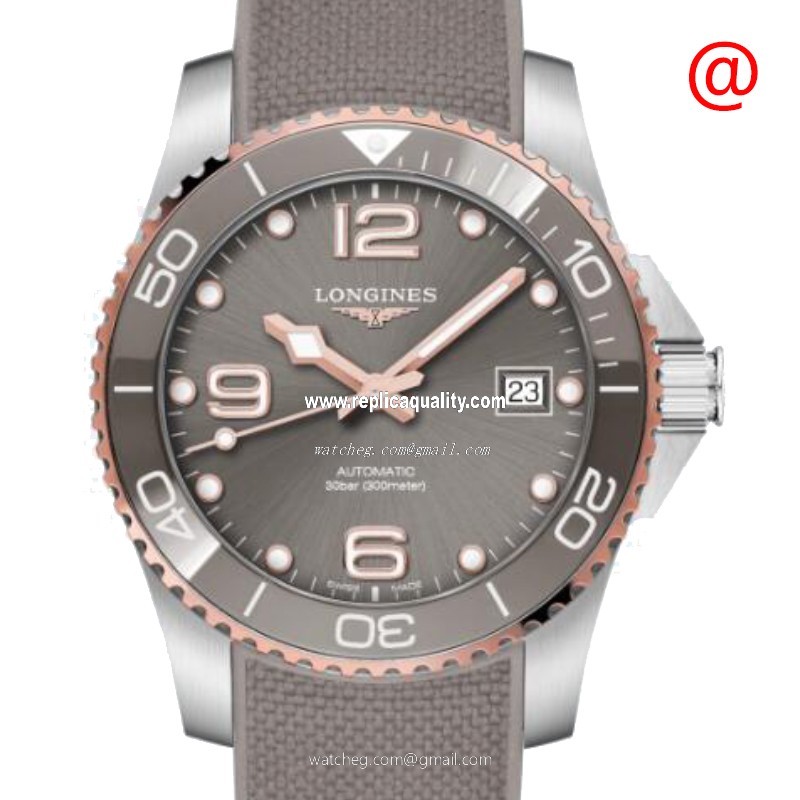 Longines CONQUEST L3.780.3.78.9 Automatic Stainless Steel Gray