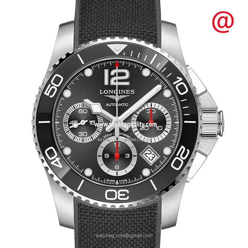 Longines CONQUEST L3.783.4.56.9 Automatic Stainless Steel Gray
