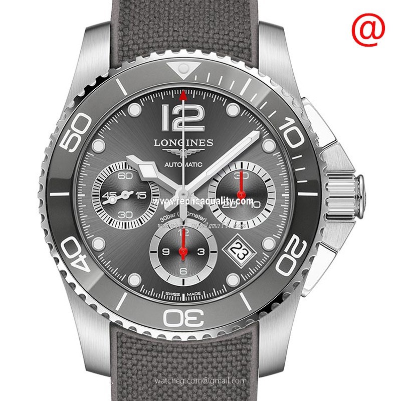 Longines CONQUEST L3.783.4.76.9 Automatic Stainless Steel Gray