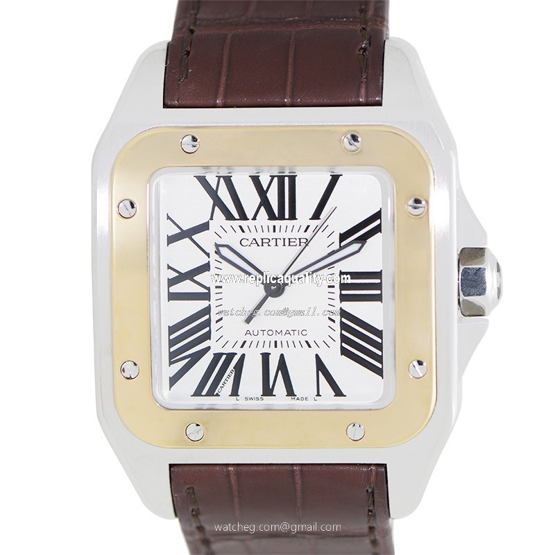 Cartier SANTOS W20072X7 Automatic 18kt Gold & Steel Silver