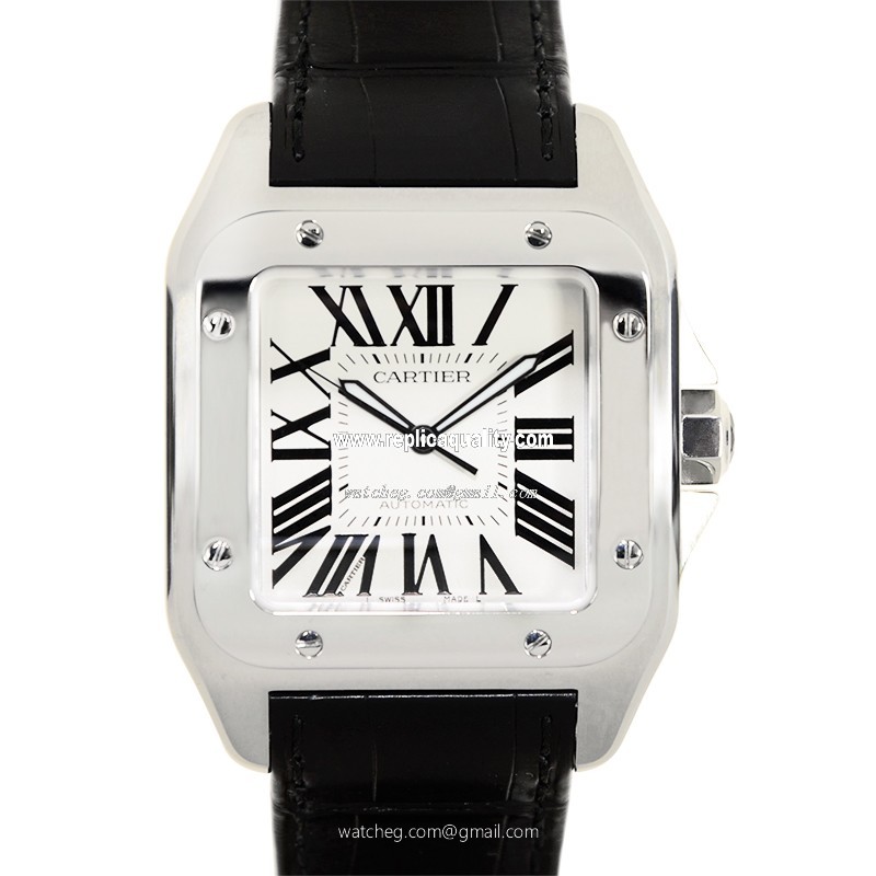 Cartier SANTOS W20073X8 Automatic Stainless Steel White
