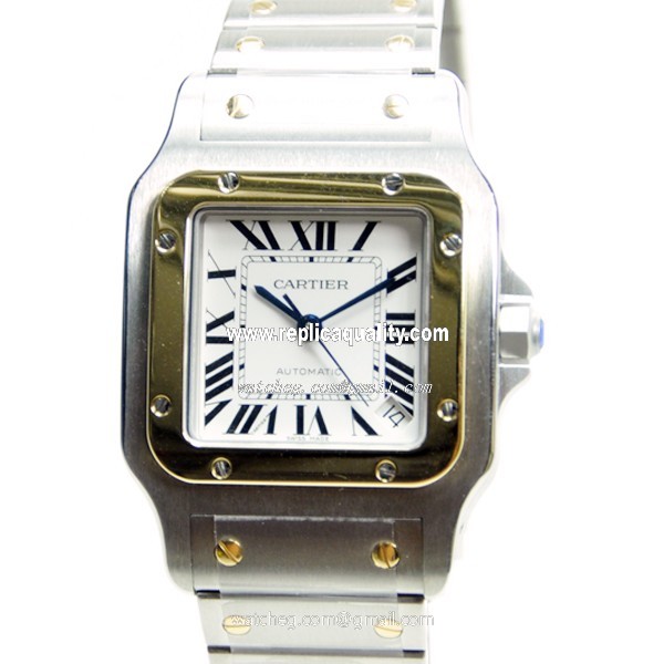 Cartier SANTOS W20099C4 Automatic Stainless Steel White