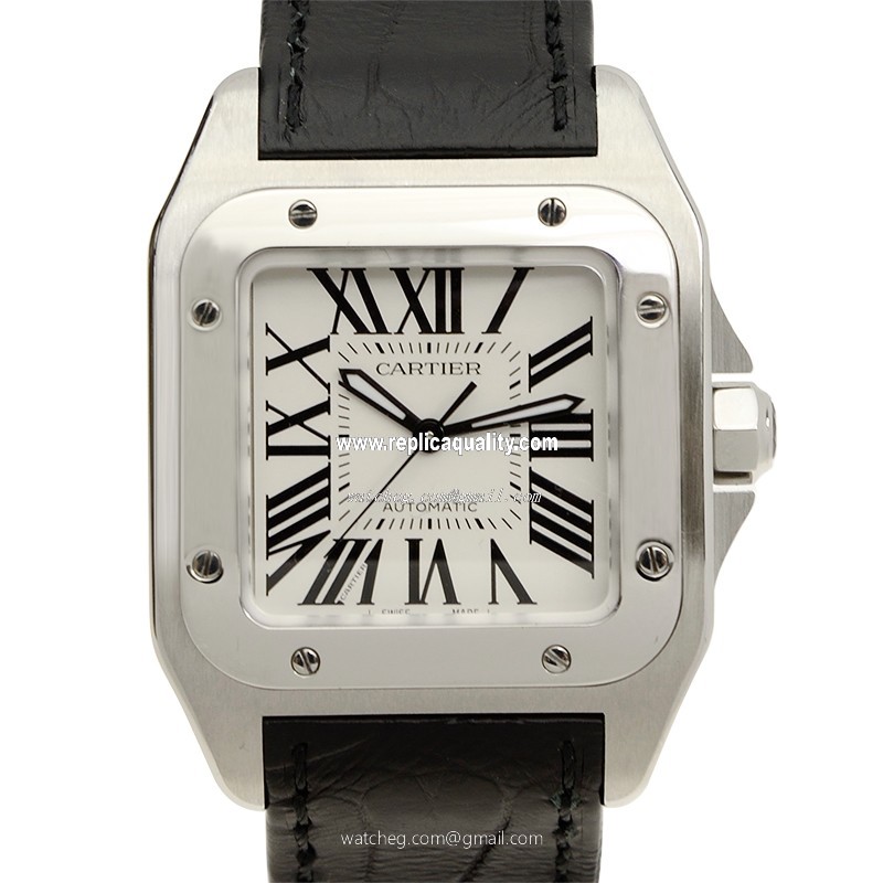 Cartier SANTOS W20106X8 Automatic Stainless Steel White