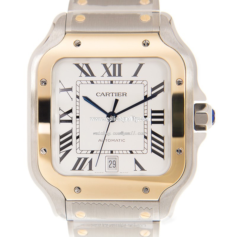 Cartier SANTOS DE CARTIER W2SA0006 Automatic 18kt Gold & Steel White