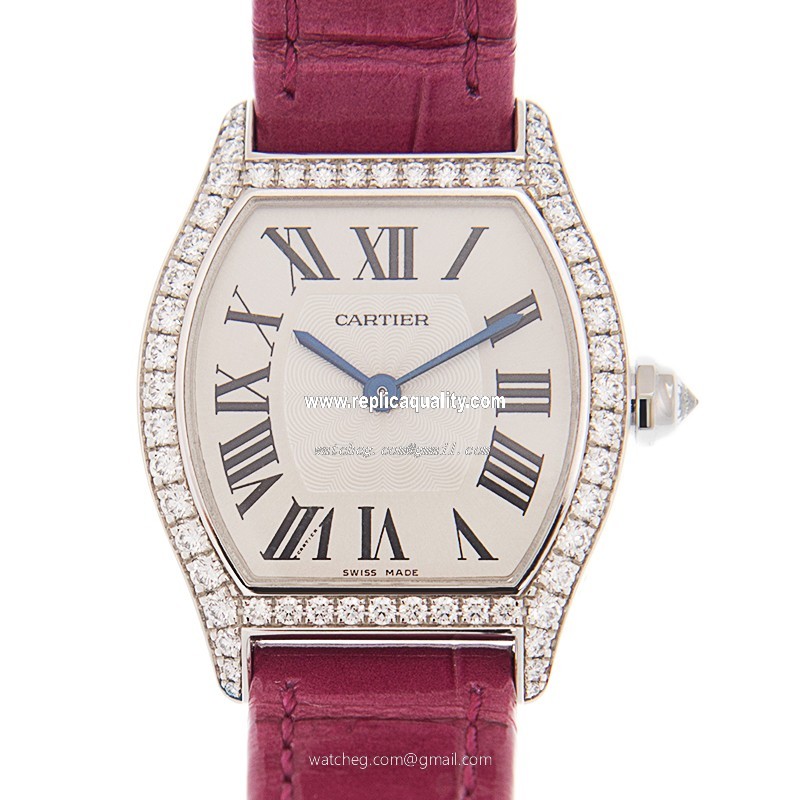 Cartier TORTUE WA501007 Manual Wind 18kt White Gold Silver