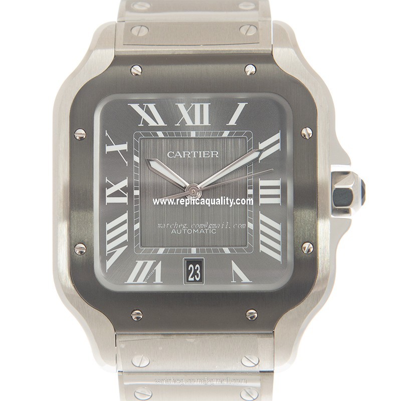 Cartier SANTOS WSSA0037 Automatic Stainless Steel Gray