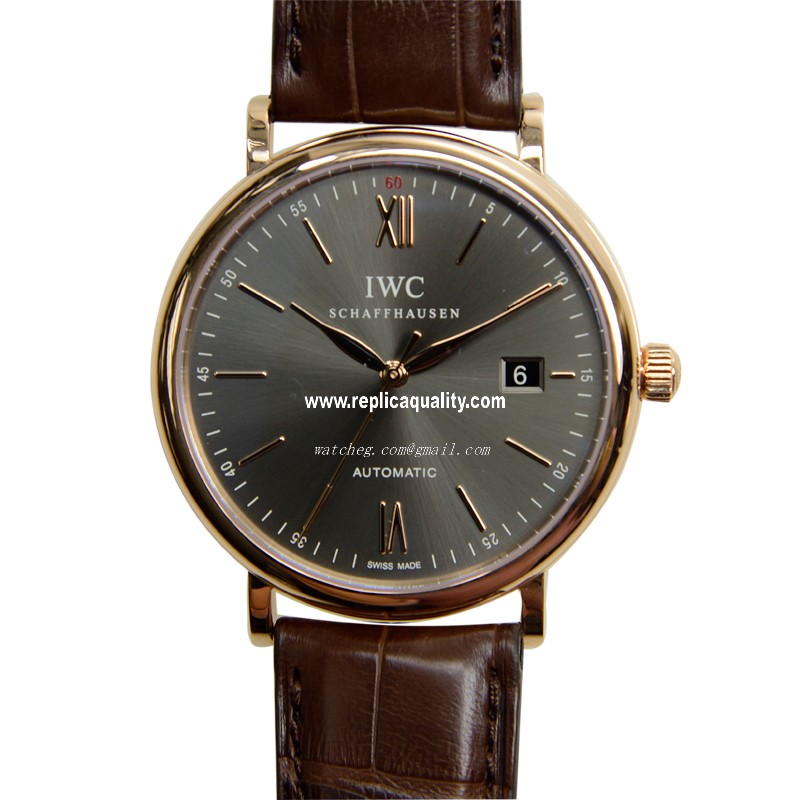 IWC IW356511 1