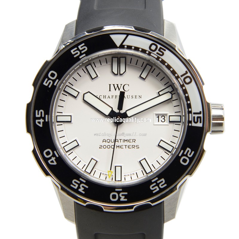IWC IW356806 1