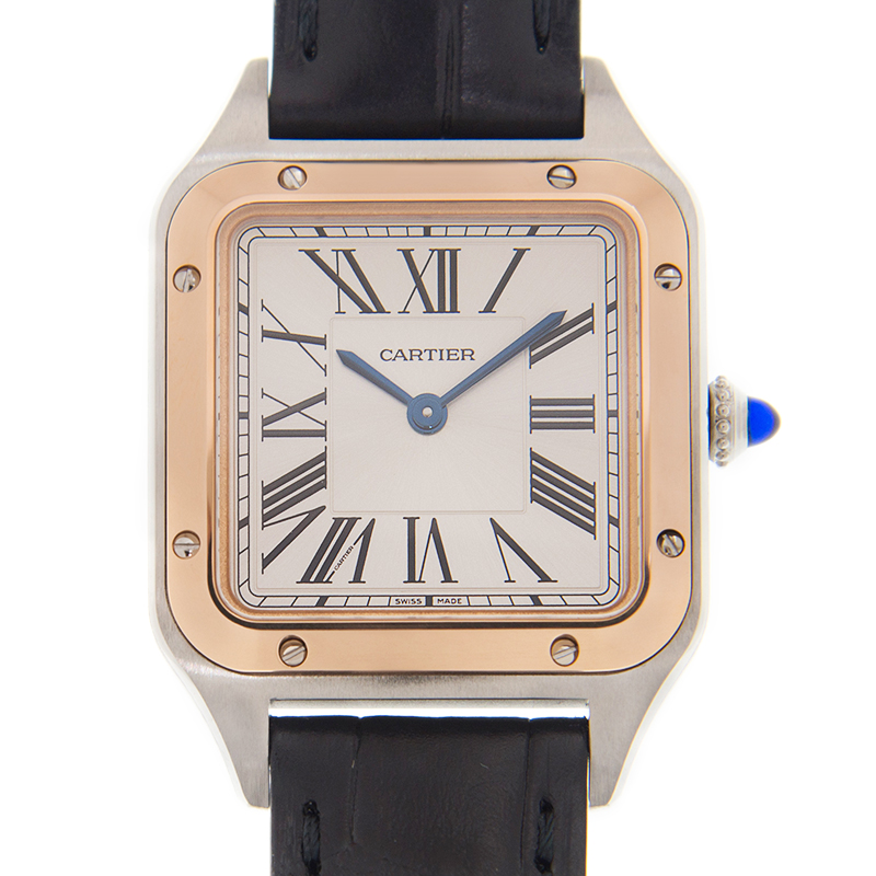 Cartier W2SA0012 1