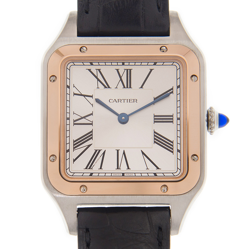 Cartier W2SA0011 1