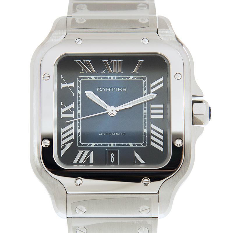 Cartier WSSA0030 1
